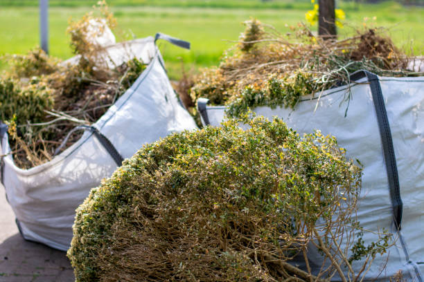 Best Junk Removal and Recycling  in Brewster Heights, NY